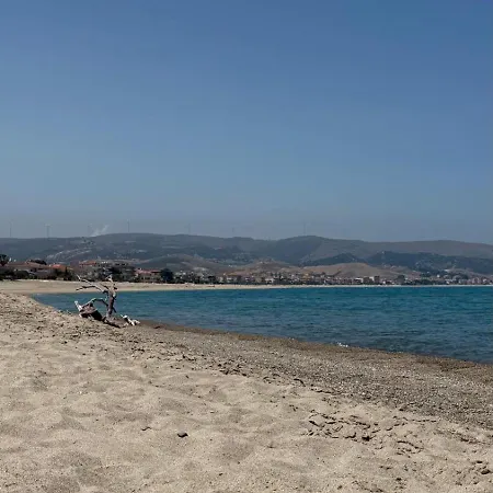O Forse Il Mare *